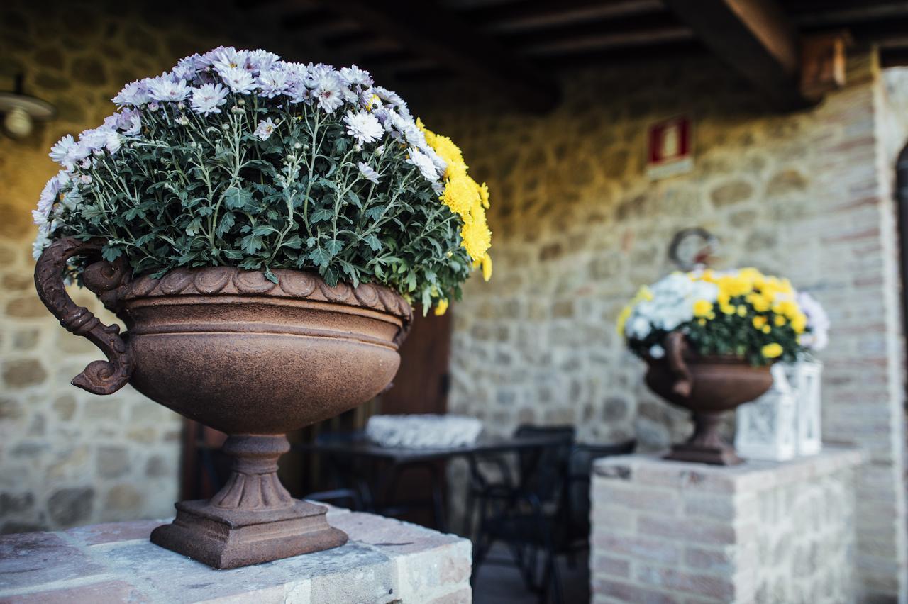 Borgo Del Faggio Apartment Montepulciano Exterior photo